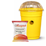 Glass trap with Melon Fly lure Combo I Pack of 10