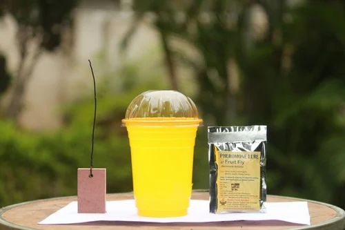 Glass trap with Melon Fly lure Combo Pack for agriculture