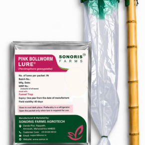 Pink Bollworm Lure and Funnel Trap for cotton pest management