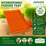 Hydroponic Fodder Tray for growing fresh animal feed