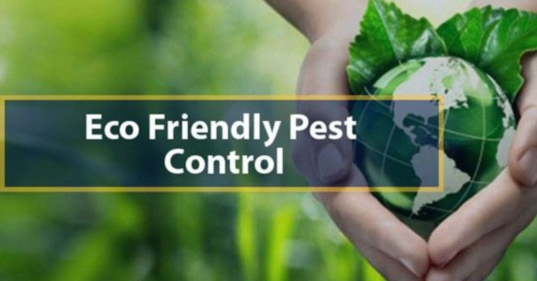Eco-friendly pest control solutions in India