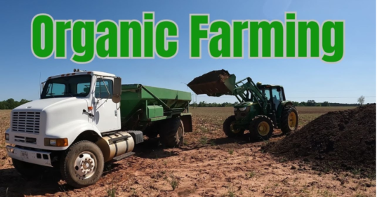 Organic -Farming -In -India